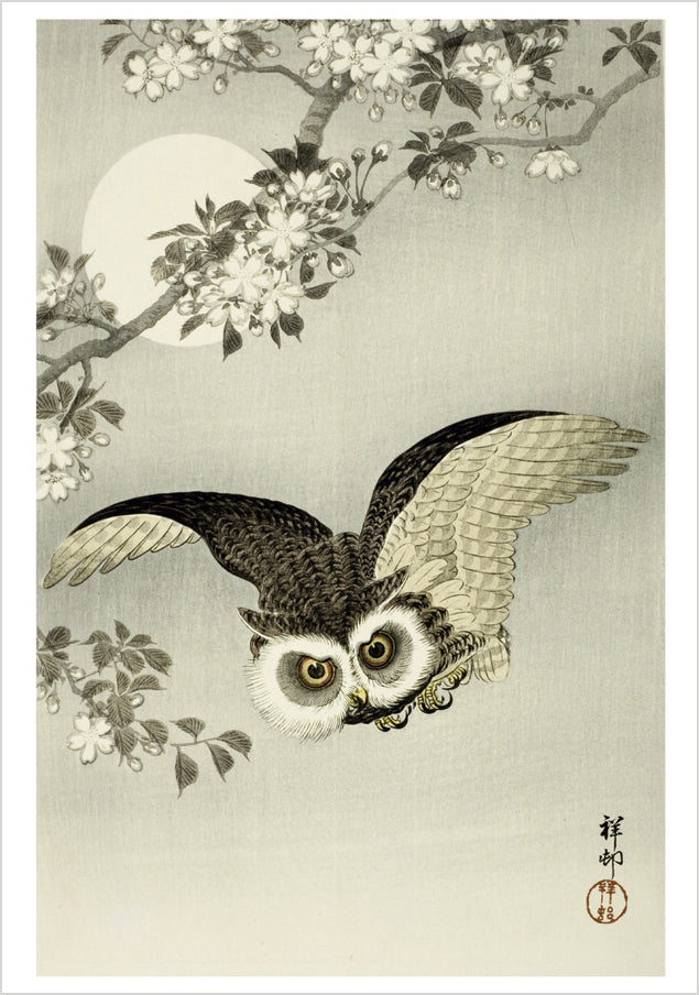 Ohara Koson (Shōson): Scops Owl. Cherry Blossoms and Moon Notecard