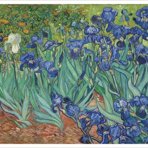 Vincent van Gogh: Irises Notecard