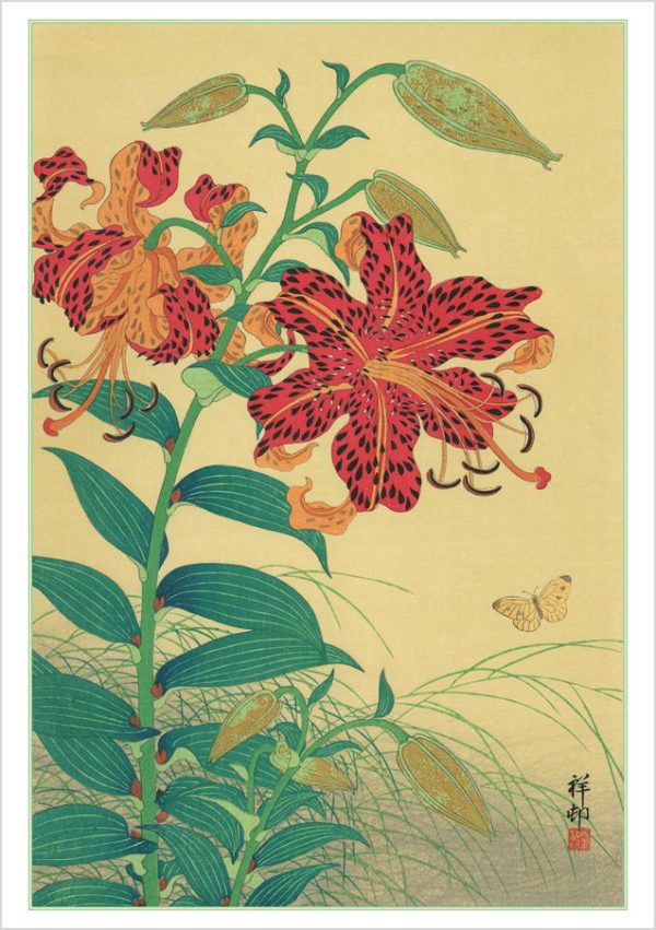 Ohara Koson (Shōson): Tiger Lilies and Butterfly Notecard