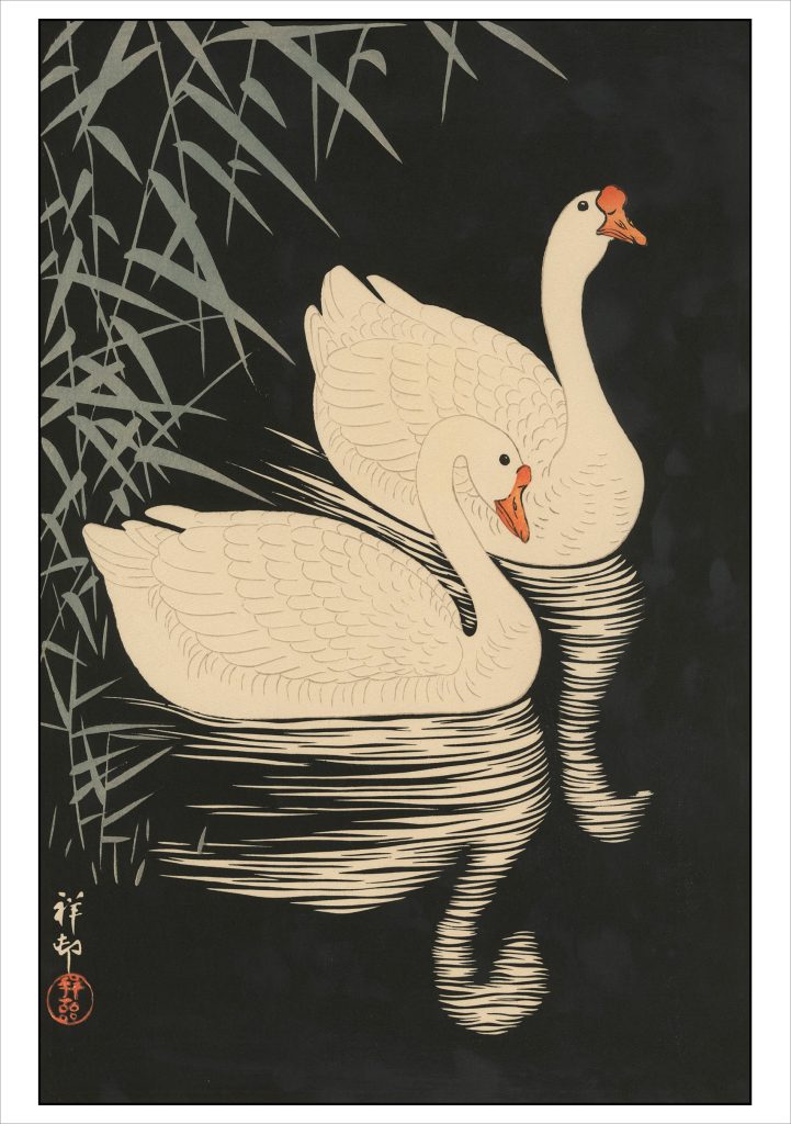 Ohara Koson (Shōson): Two Geese Swimming Notecard