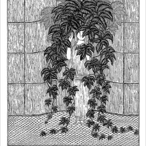 Edward Gorey: Not Take Amiss Notecard