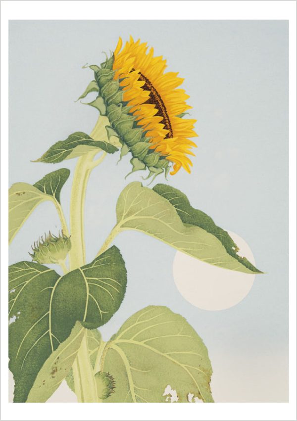 Kate Krasin: Sunflower Notecard