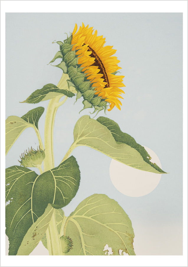 Kate Krasin: Sunflower Notecard