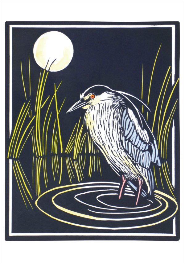 Molly Hashimoto: Black-crowned Night Heron Notecard