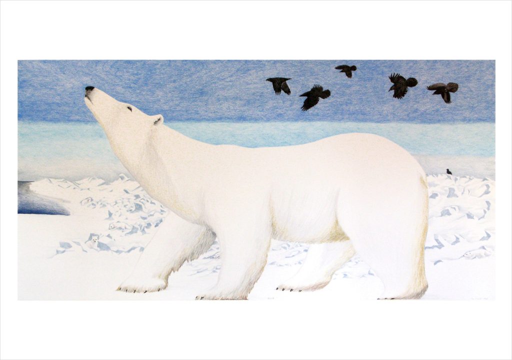 Tim Pitsiulak: Polar Bear Notecard