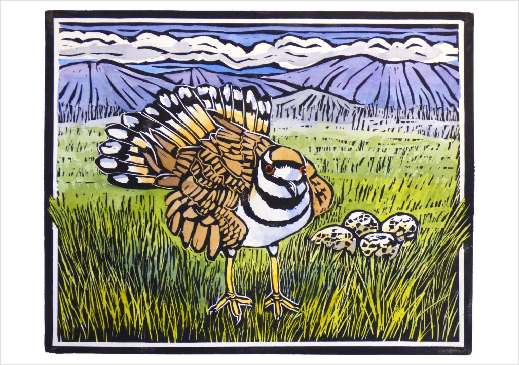 Molly Hashimoto: Killdeer and Eggs Notecard