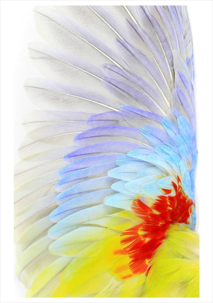 Christopher Marley: Opaline Turquoisine Notecard