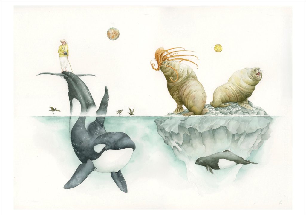 Paul Morstad: Interstellar Sea Lions Notecard