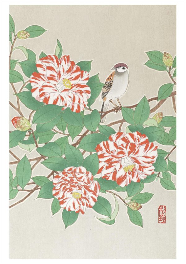 Sparrow on Red and White Camellia Notecard