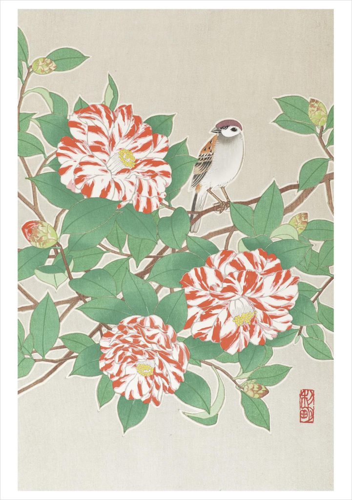 Sparrow on Red and White Camellia Notecard