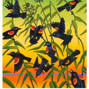 Billy Hassell: Red-Wing Blackbirds and Wild Rice Notecard