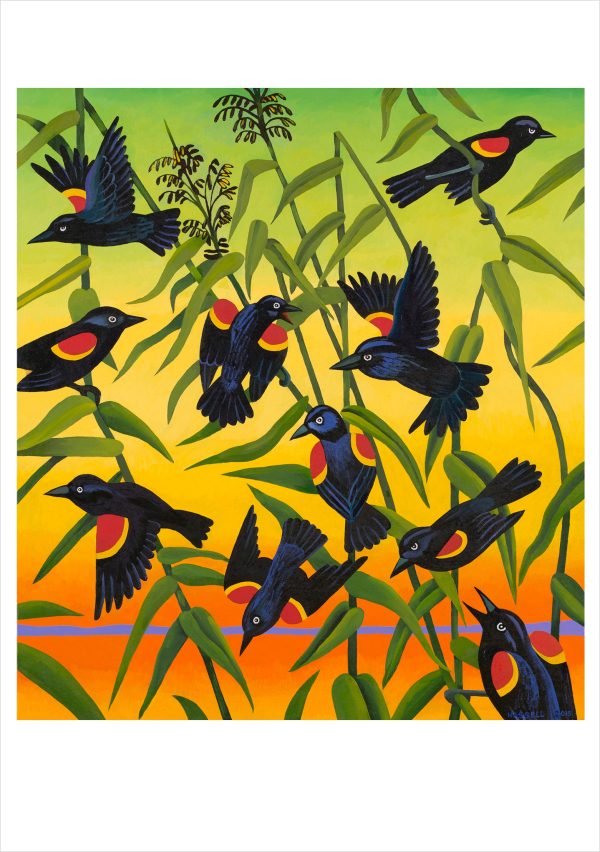 Billy Hassell: Red-Wing Blackbirds and Wild Rice Notecard