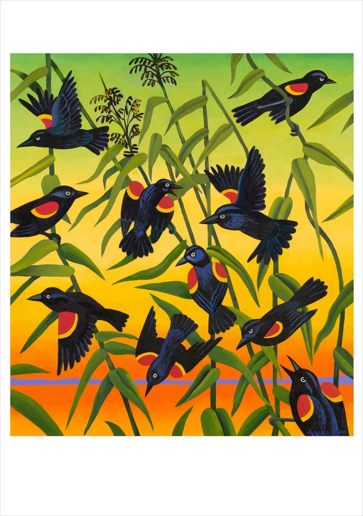 Billy Hassell: Red-Wing Blackbirds and Wild Rice Notecard