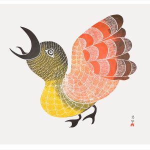 Pitaloosie Saila: Bird of Sargo Notecard