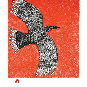 Ningiukulu Teevee: Flight Notecard