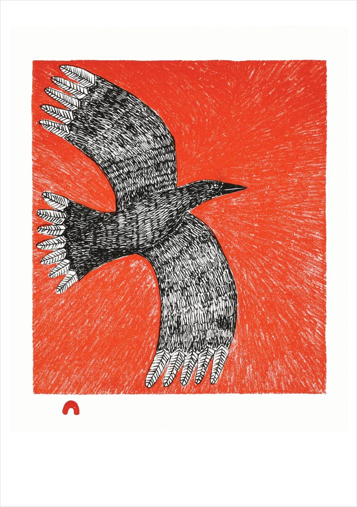Ningiukulu Teevee: Flight Notecard