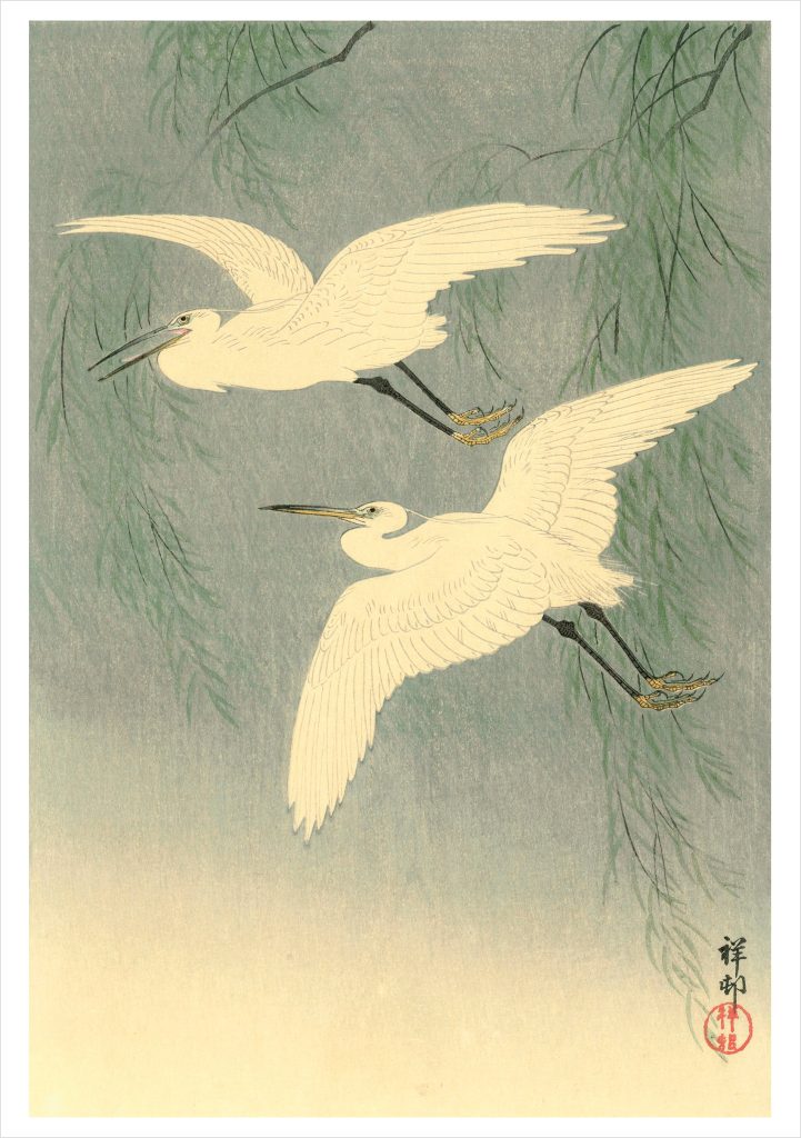 Ohara Koson (Shōson): Little Egrets in Flight Notecard