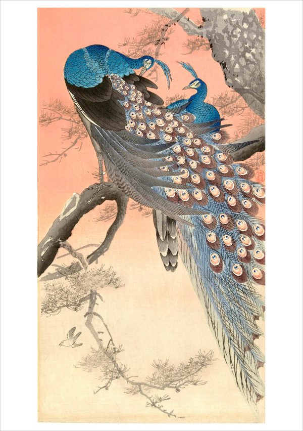 Ohara Koson (Shōson): Two Peacocks on the Branch of a Tree Notecard