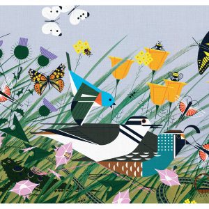 Charley Harper: Once There Was a Field Notecard