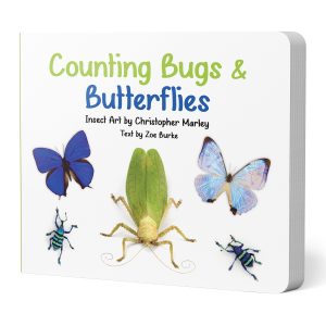 Counting Bugs & Butterflies: Insect Art by Christopher Marley Board Book