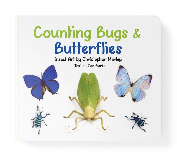Counting Bugs & Butterflies: Insect Art by Christopher Marley Board Book - Image 2
