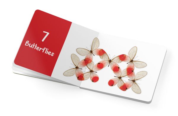 Counting Bugs & Butterflies: Insect Art by Christopher Marley Board Book - Image 4