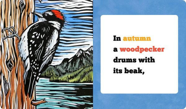 Molly Hashimoto's Birds! Season by Season Board Book - Image 5