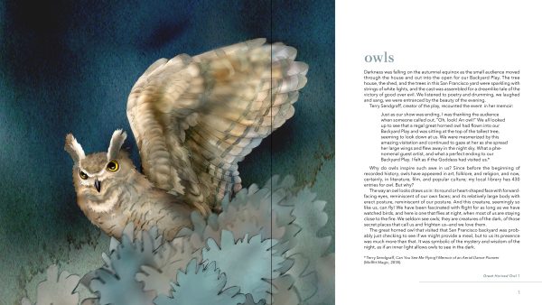 Owls: The Paintings of Jeannine Chappell - Image 2