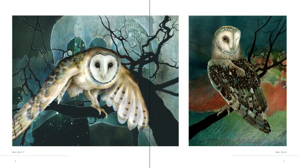 Owls: The Paintings of Jeannine Chappell - Image 3