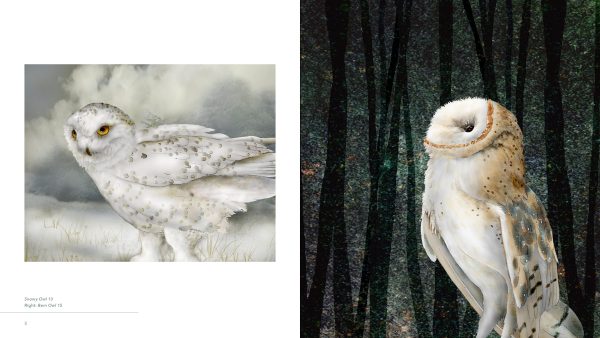 Owls: The Paintings of Jeannine Chappell - Image 4