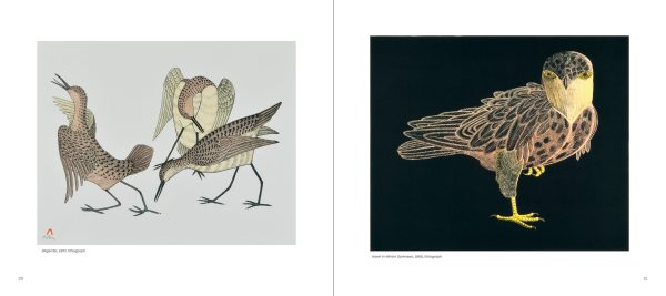 Kananginak Pootoogook: Drawings and Prints from Kinngait - Image 4
