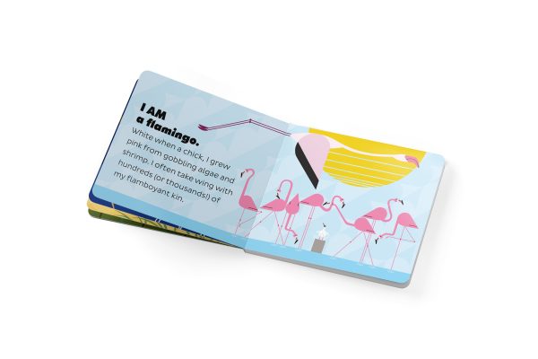 Charley Harper's I Am Wild in the Sky Board Book - Image 4