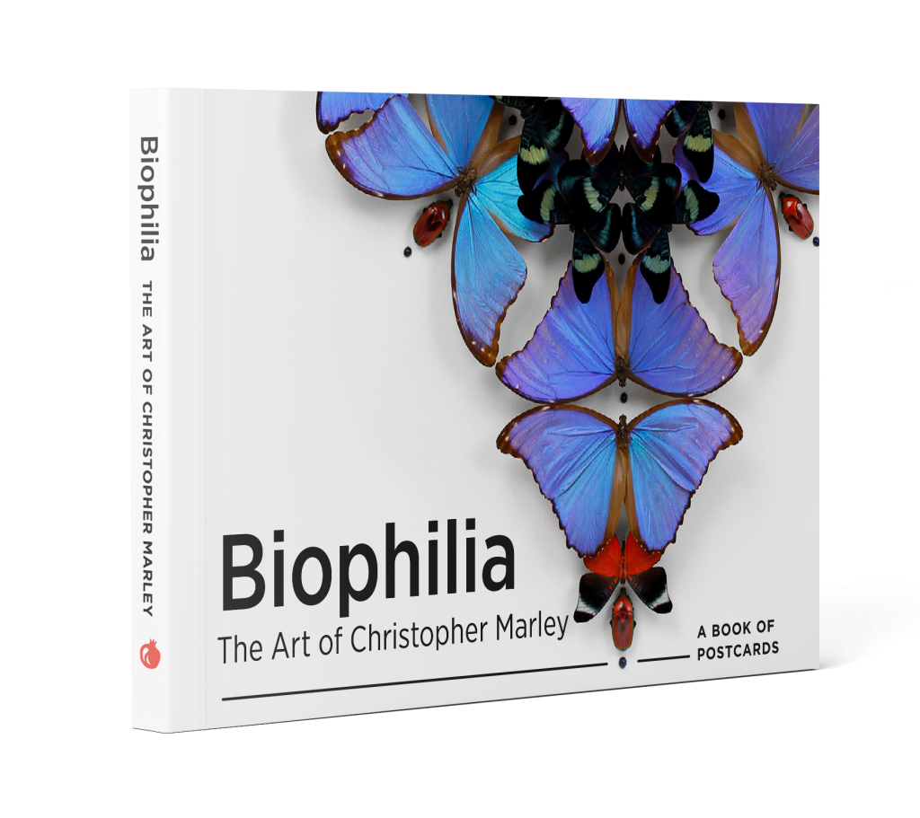 Biophilia: The Art of Christopher Marley Book of Postcards