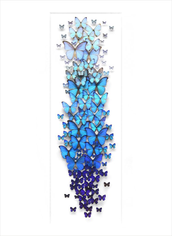 Biophilia: The Art of Christopher Marley Book of Postcards - Image 2