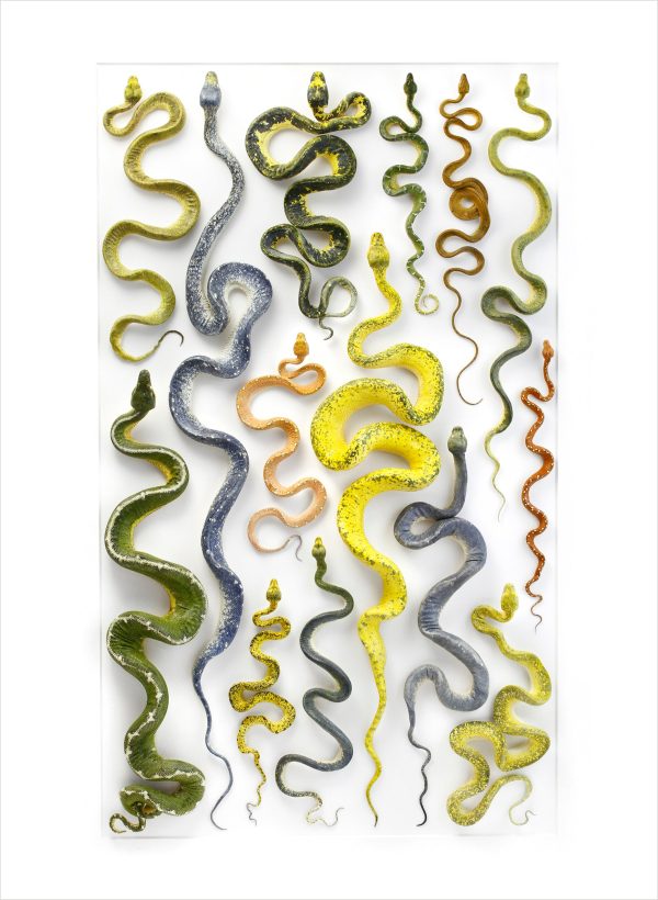 Biophilia: The Art of Christopher Marley Book of Postcards - Image 4