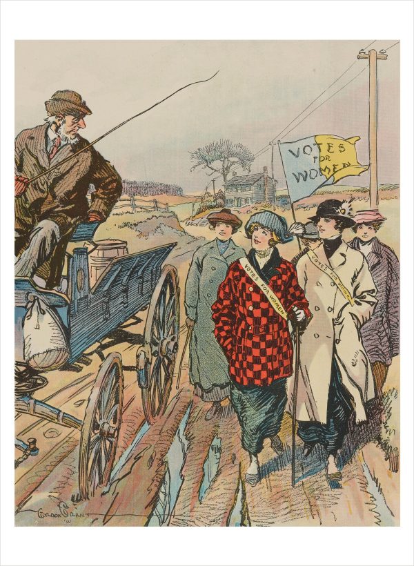 Votes for Women! The Suffrage Movement Book of Postcards - Image 2