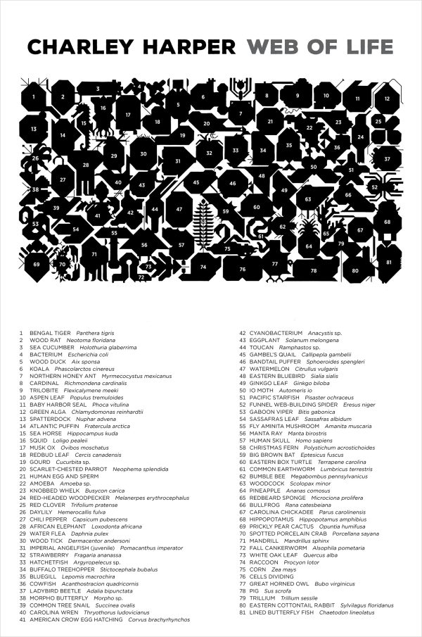 Charley Harper: Web of Life 2000-Piece Jigsaw Puzzle - Image 3