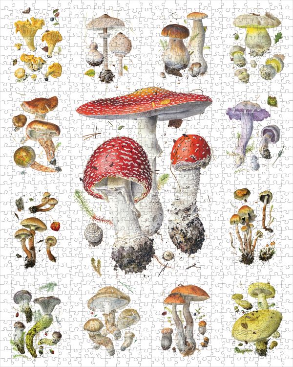 Mushrooms: Alexander Viazmensky 1000-Piece Jigsaw Puzzle - Image 2