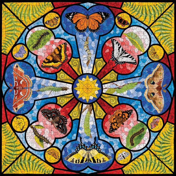 David Cohen: Butterfly Rose Window 1000-Piece Jigsaw Puzzle - Image 2
