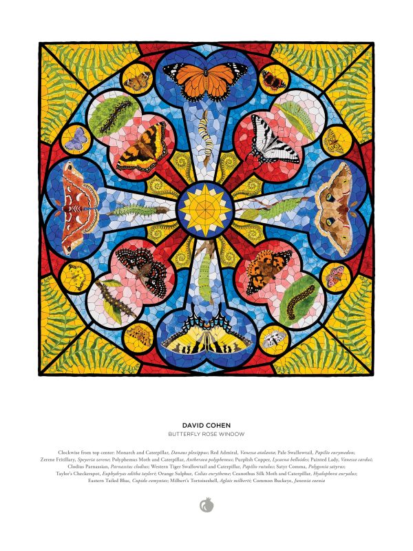 David Cohen: Butterfly Rose Window 1000-Piece Jigsaw Puzzle - Image 3