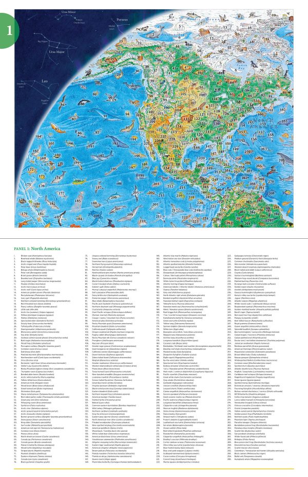 Anton Thomas: Wild World 1500-Piece Jigsaw Puzzle - Image 5