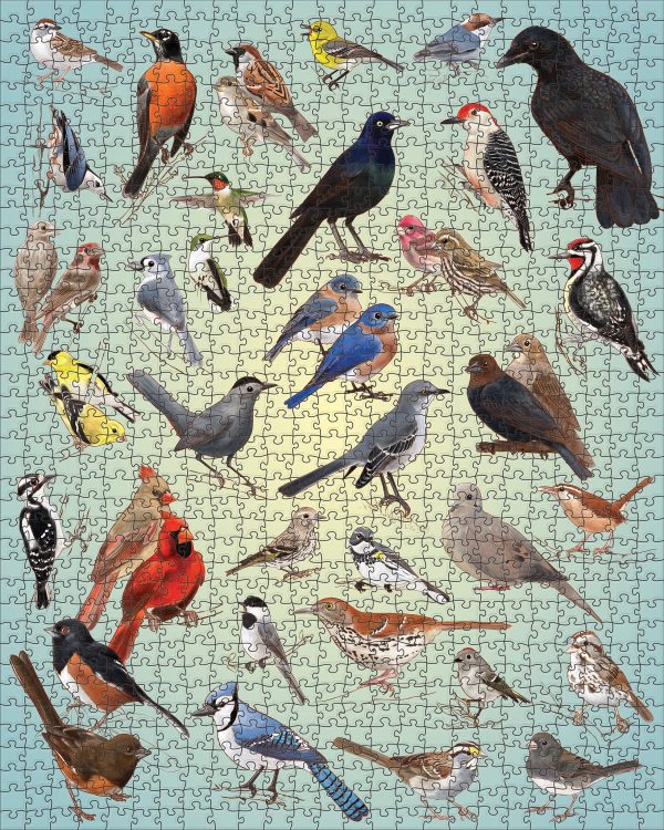 Casey Girard: Backyard Birds 1000-Piece Jigsaw Puzzle - Image 2