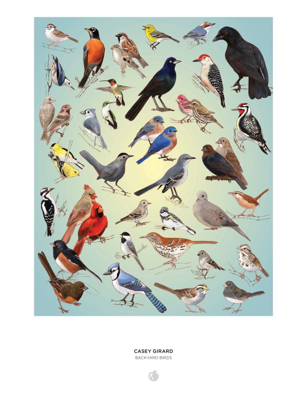 Casey Girard: Backyard Birds 1000-Piece Jigsaw Puzzle - Image 3