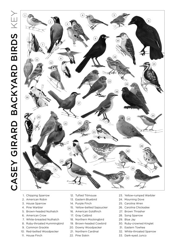 Casey Girard: Backyard Birds 1000-Piece Jigsaw Puzzle - Image 4