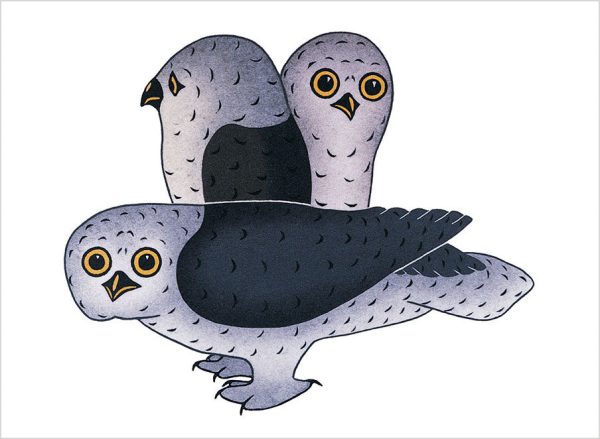 Inuit Art: Birds Book of Postcards - Image 4