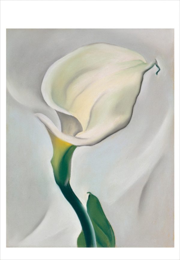Georgia O'Keeffe Book of Postcards - Image 3
