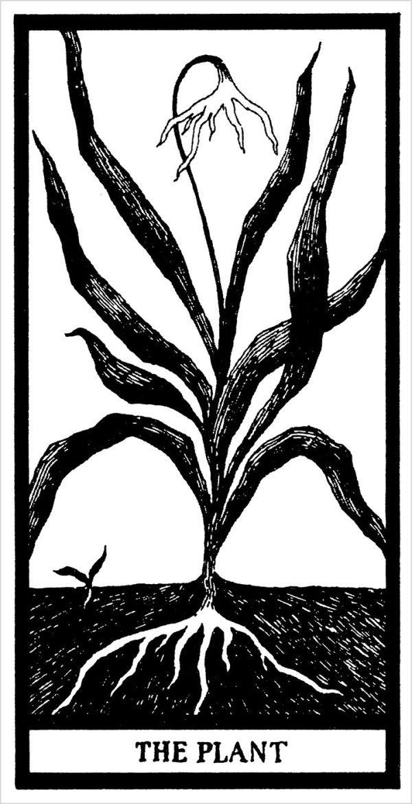The Fantod Pack by Edward Gorey - Image 5