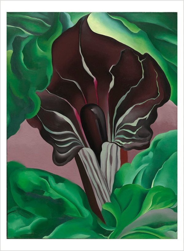 Georgia O'Keeffe: Abstraction Book of Postcards - Image 3