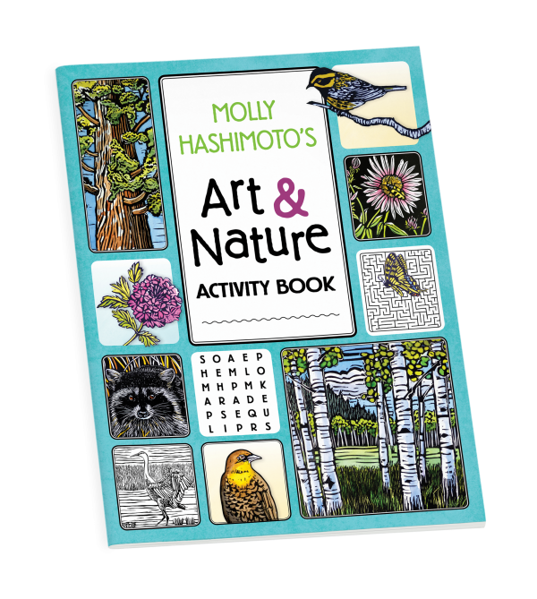 Molly Hashimoto's Art & Nature Activity Book