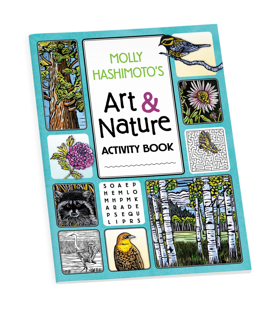Molly Hashimoto's Art & Nature Activity Book